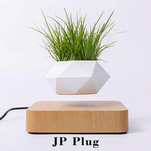 LevPot™ 2 - Levitating Mini Bonsai Pot